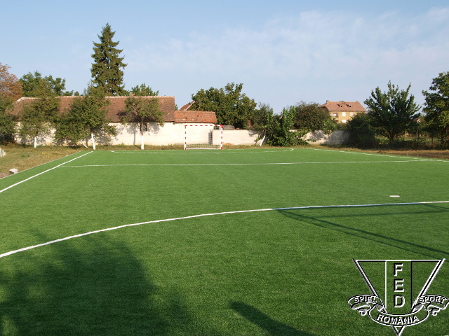 Teren sintetic Olari