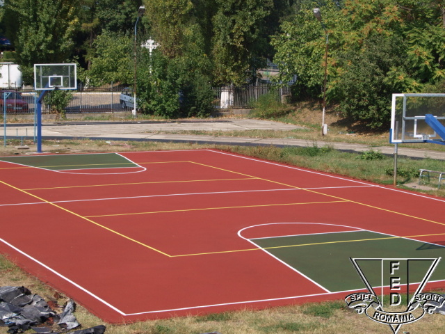 Baza sportiva Liceul Moise Nicoara