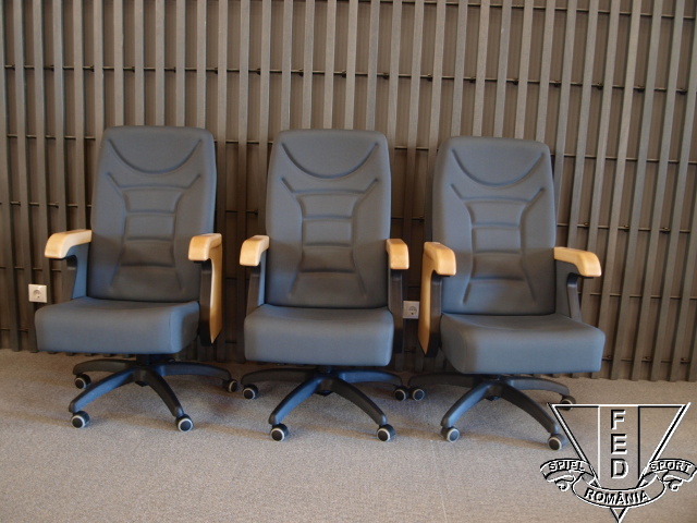 Diverse scaune si scaune VIP