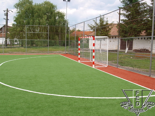 Teren sintetic Pecica