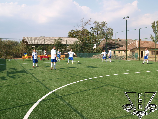 Teren sintetic Sintea Mare