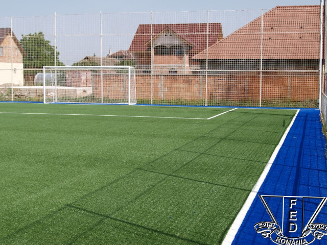 Teren sintetic Vladimirescu